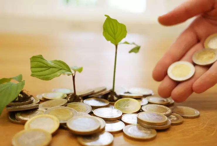 El ritual para enterrar monedas en macetas y atraer abundancia