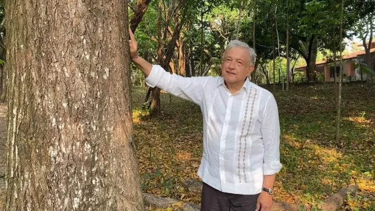 amlo-sembrando-vida.jpg