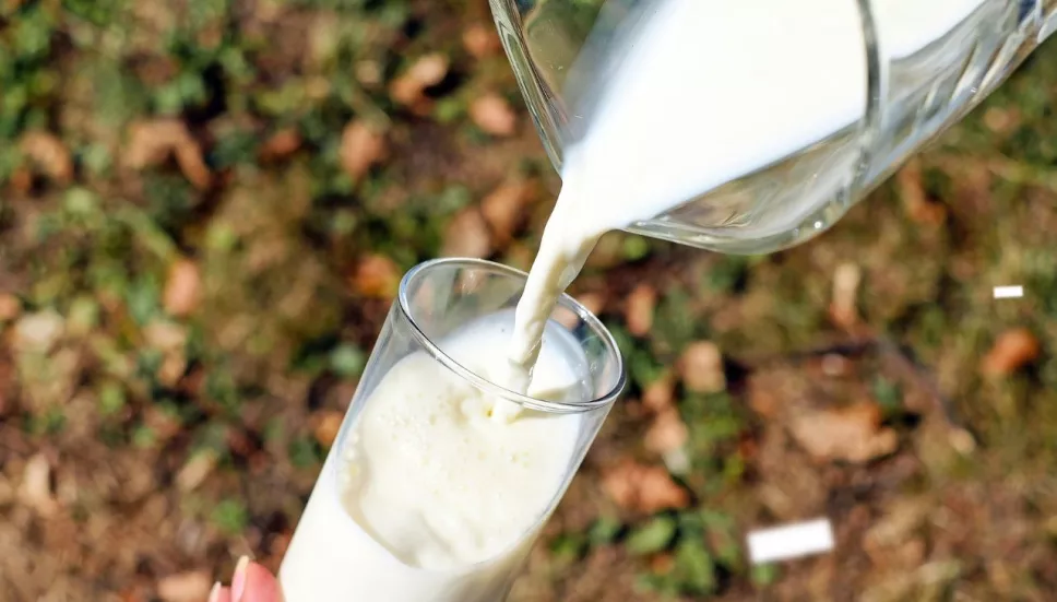 Precio de la leche en Mexico