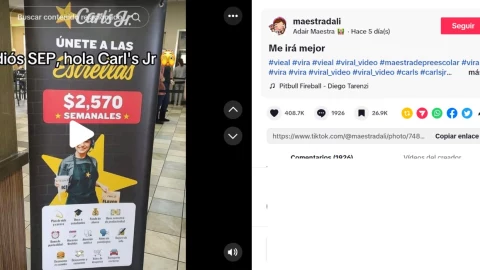 Maestra SEP comida rápida