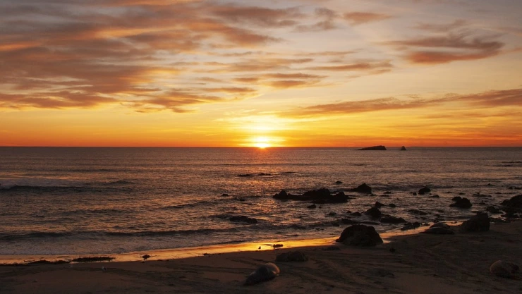 Contaminadas el 60 por ciento de las playas en Estados Unidos