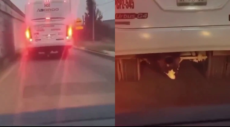 Adolescente debajo de autobús en Querétaro.