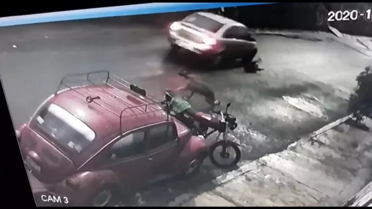 Perros doberman son atropellados