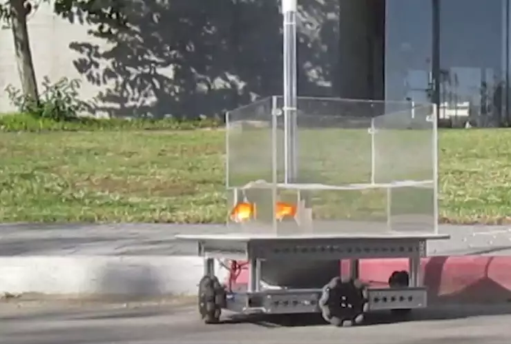 Peces dorados, auto, manejar 1.jpg