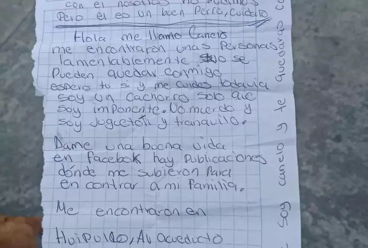 Carta de Canelo, el perrito abandonado