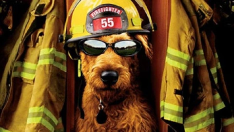 el perro bombero