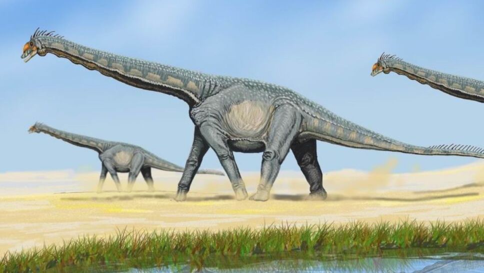 Huevos, dinosaurio, estado 2.jpg