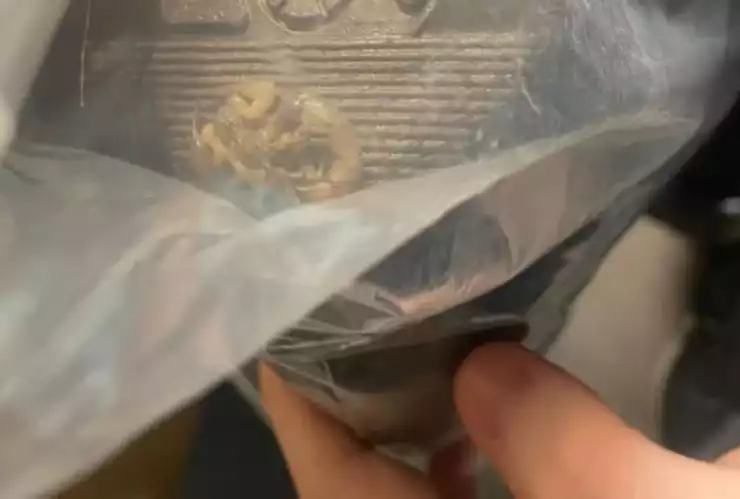 Escorpión en pedido de Shein