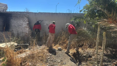 Cuerpo en Irapuato.png