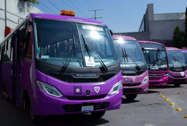 El señalamiento morado corresponde a los autobuses del mismo color