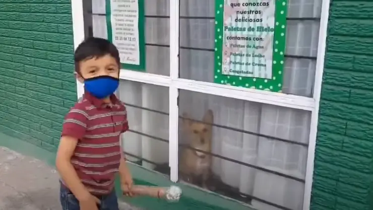 niño entrevista perros calle .jpg