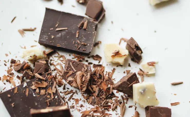 trabajadores chocolate contenedor