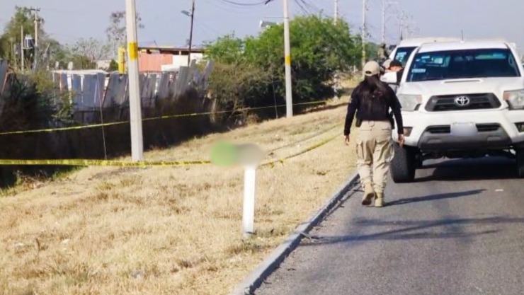 Hallazgo en San José del Llano