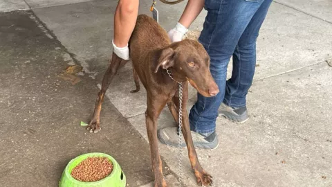 1280 x 720 px (36).jpg