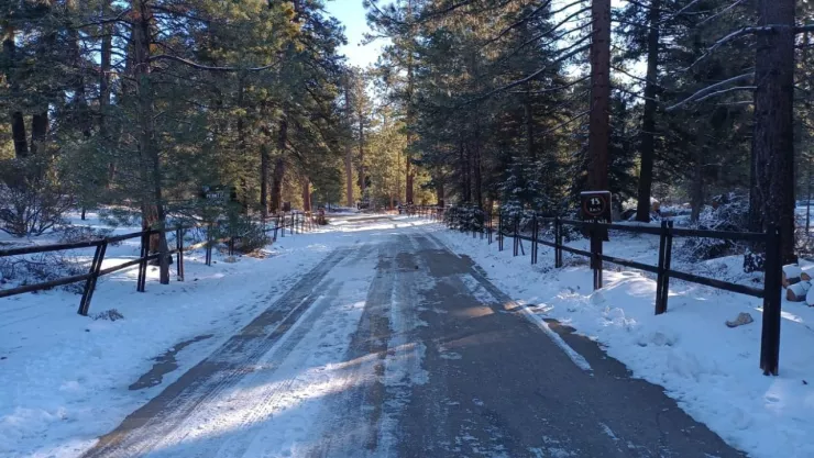 El parque San Pedro Mártir se mantendrá cerrado por seguridad hasta nuevo aviso