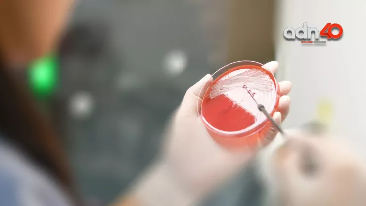 Meningitis aséptica en México