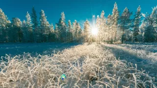 ¿Aguascalientes tendrá el invierno más frío que en otros años este 2025 Lo que dice el pronóstico
