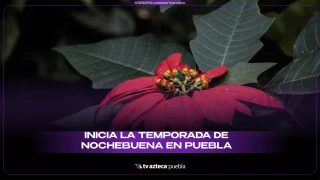 nochebuena sitio.png