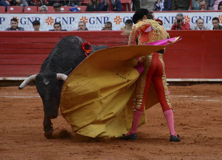 CIUDAD DE MÉXICO, 26MARZO2017.- El torero Fabian Barba durante la corrida en la Plaza de Toros México.
FOTO: MARIO JASSO /CUARTOSCURO.COM