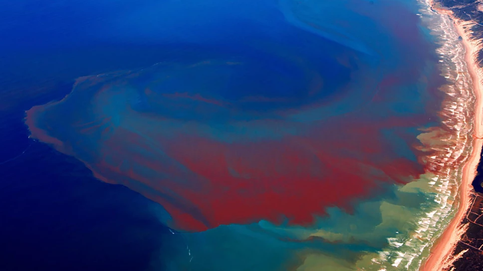 Marea roja