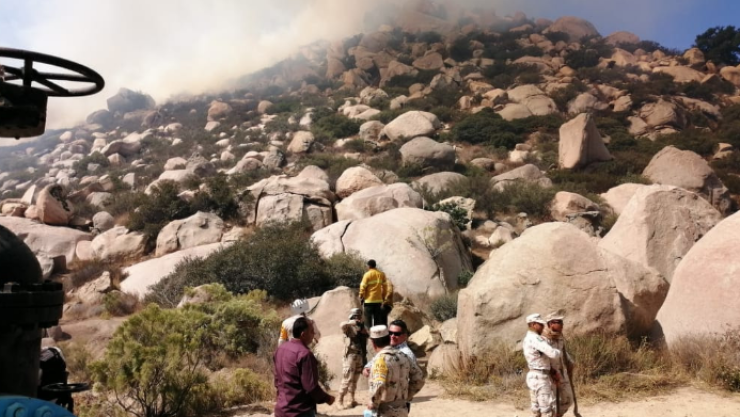 INCENDIOS-DOMINGO-BAJA-CALIFORNIA.png