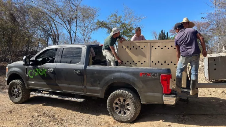 Roban camioneta del Santuario Ostok en Culiacán, Sinaloa hoy 20 de febrero de 2025. .jpg