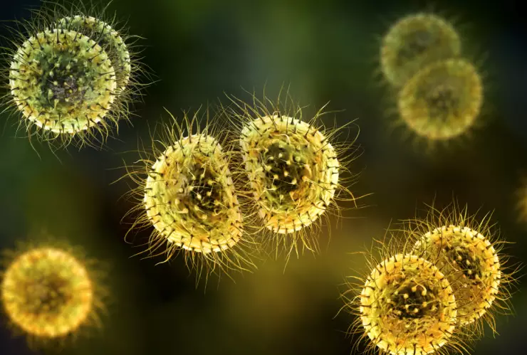 Muertes por meningitis en Durango