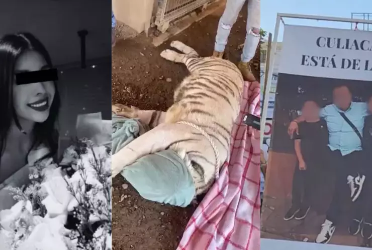 Noticias de Sinaloa hoy martes 8 de abril de 2025