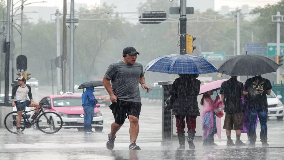 WhatsApp Image 2025-07-21 at 11..jpg