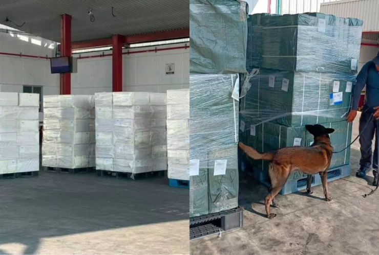 Aseguran 20 toneladas de cigarros en el AICM provenientes de Japón; “huachicol tabaco”