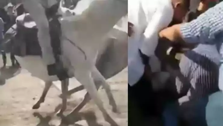 VIDEO Hombre muere durante una carrera de caballos