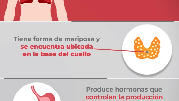 Día Mundial de la Tiroides 25 de mayo