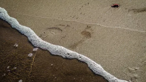 Cielo nublado y chubascos hoy en Jalisco; cuáles son los efectos del Frente Frío 11