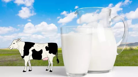 Crean la leche sintética que no necesita vacas y es idéntica