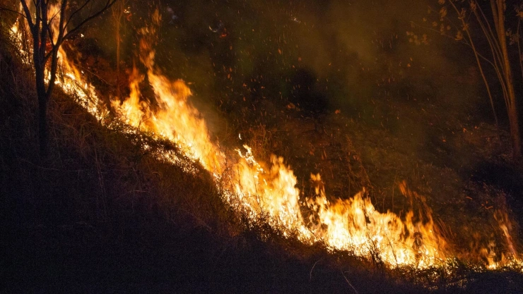 Incendio forestal de noche