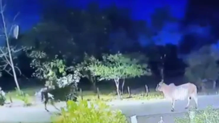 video-captan-presunto-jinete-fantasma-arriba-caballo.jpg