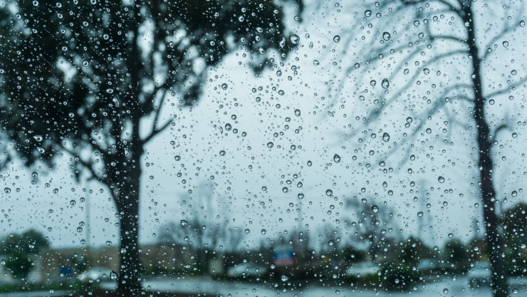 Lluvia vista desde ventana de California