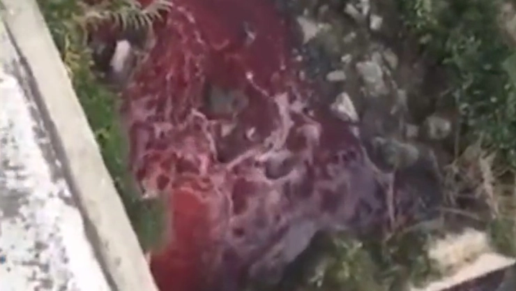 ¿Río de ‘sangre’? Caudal en Atoyac, Puebla, se pinta de rojo y alarma a pobladores; esto se sabe