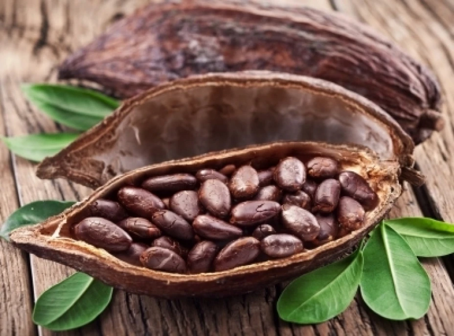 Cacao