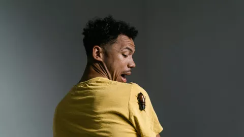 &iquest;C&oacute;mo hacer un insecticida para cucarachas casero?