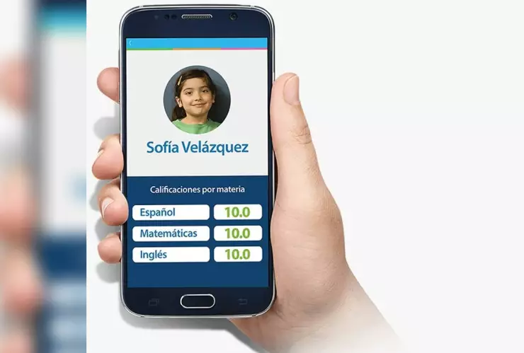 Boletas de calificaciones.-