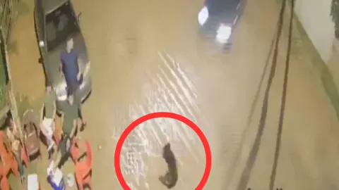 Video capta atropellamiento mortal durante carrera ilegal en Paraguay