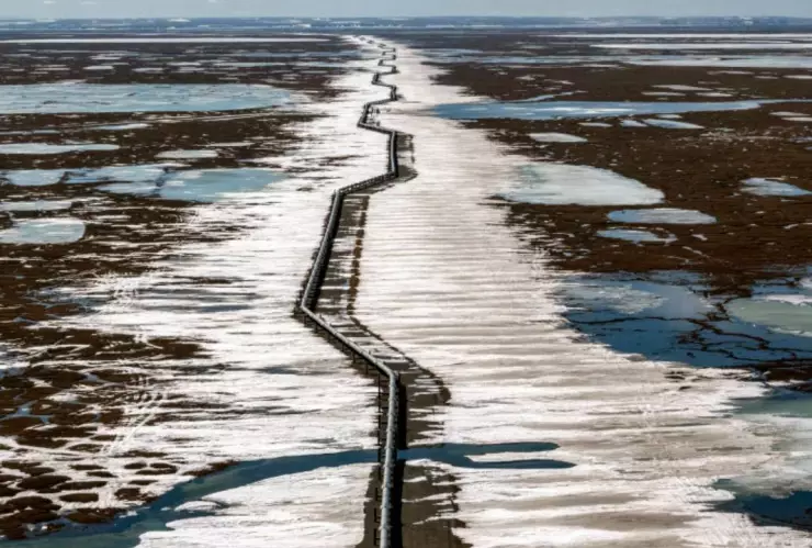 ¿Qué es el Proyecto Willow? EU aprueba explotación de petróleo en Alaska