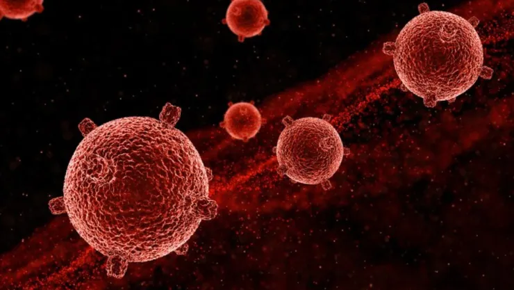 BACTERIA VAMPIRO