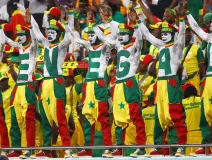 senegal_qatar.png