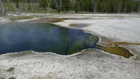 Pie flotaba en una alberca de agua caliente.