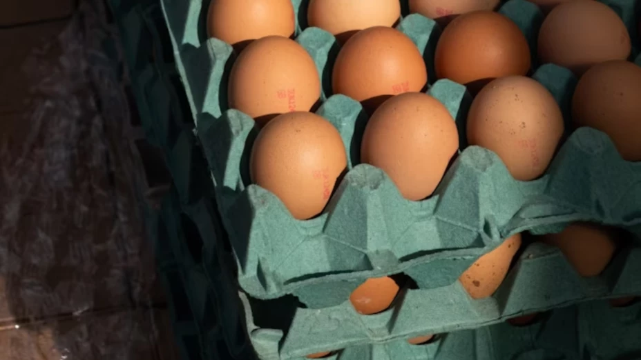 Huevos.png