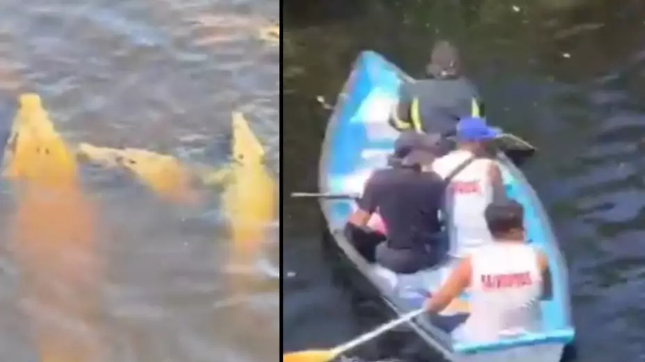 PORTADA niño atacado por cocodrilos.jpg