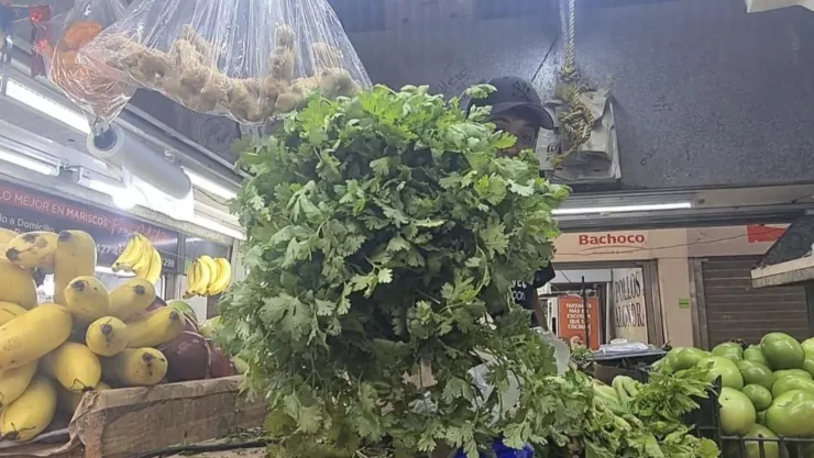Aumenta el precio del cilantro y la lechuga en Sinaloa hasta 90 pesos..jpg