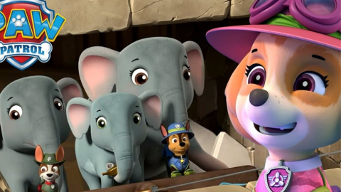 5 capítulos de Paw Patrol que enseñan a los niños a cuidar y querer a los animales